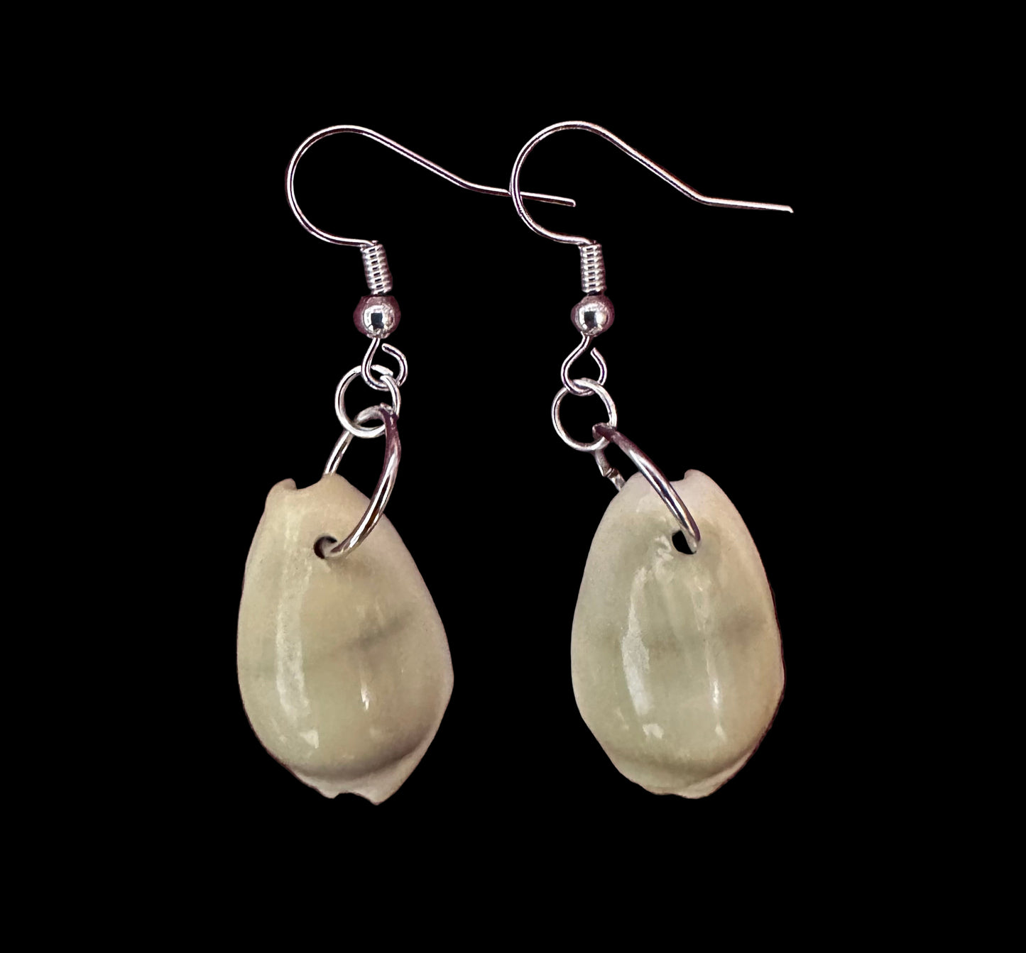 Cowrie Shell Earrings