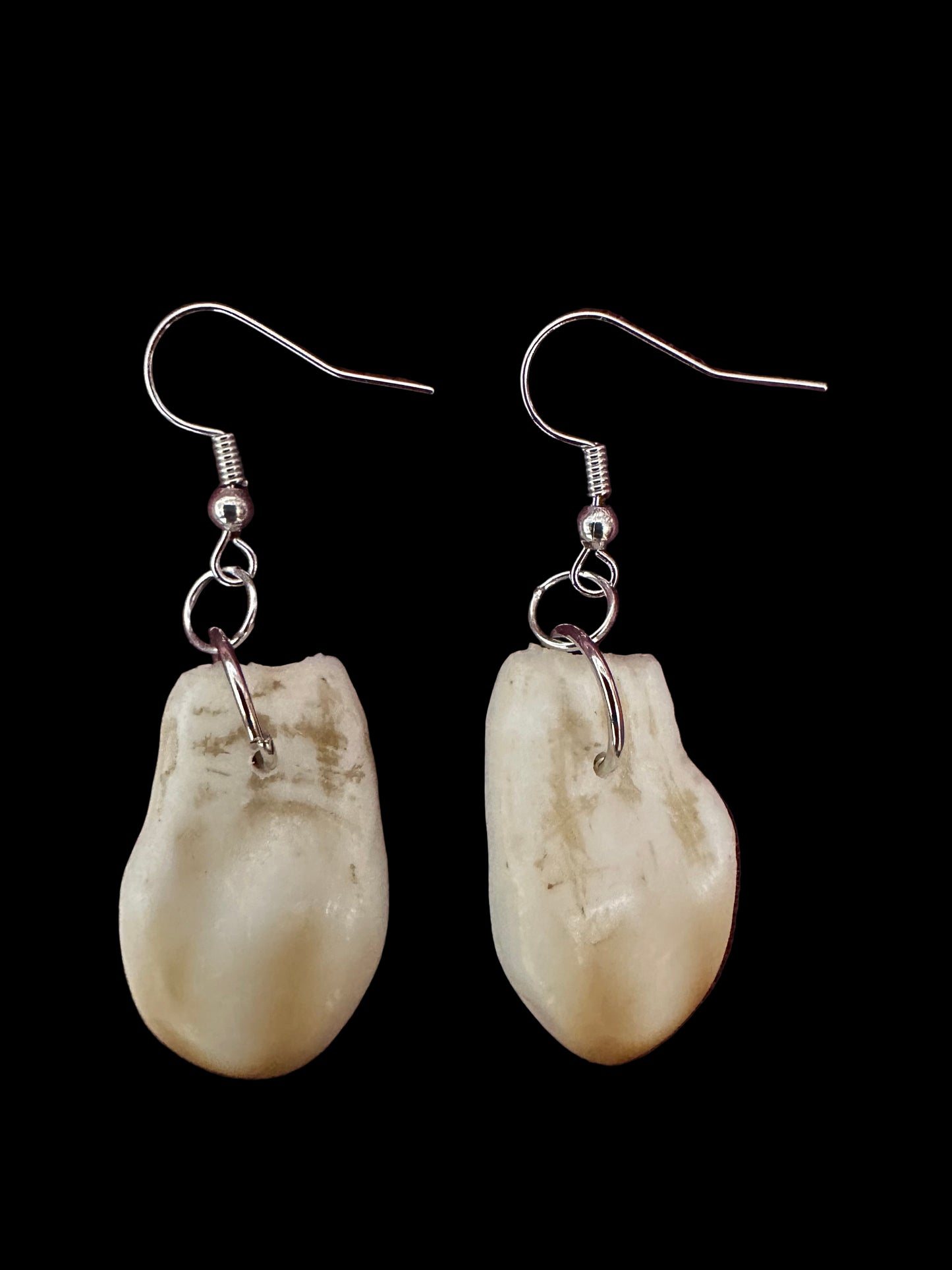 Imitation Elk Teeth Earrings